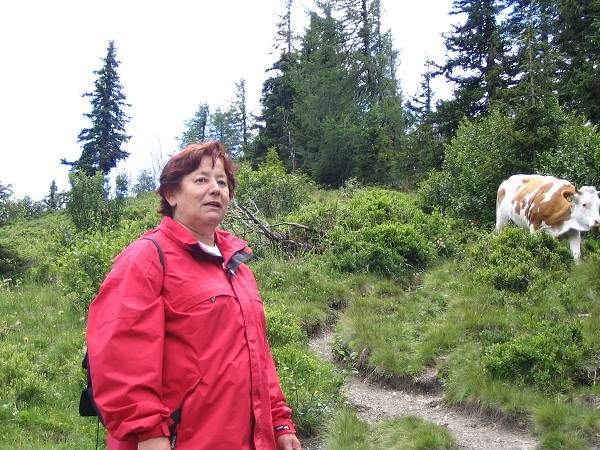 Alpy lto 2005