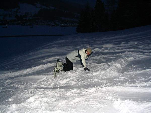 Alpy nor 2005