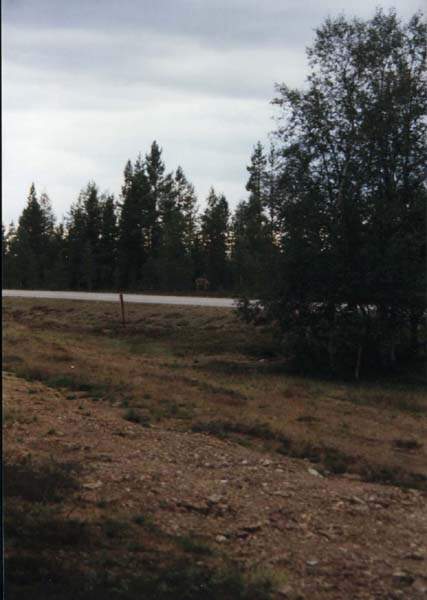 06-25