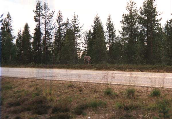 06-26