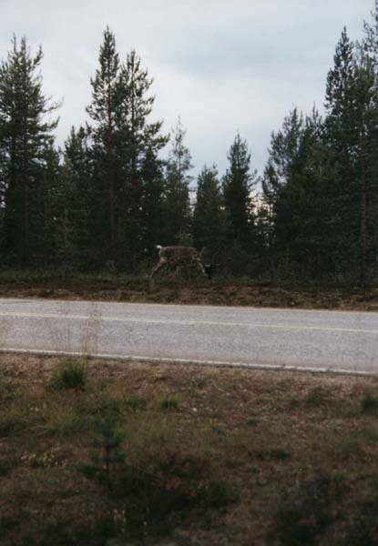 06-27