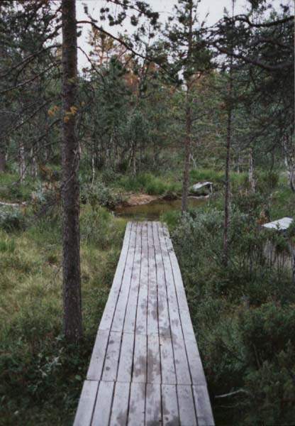 06-30