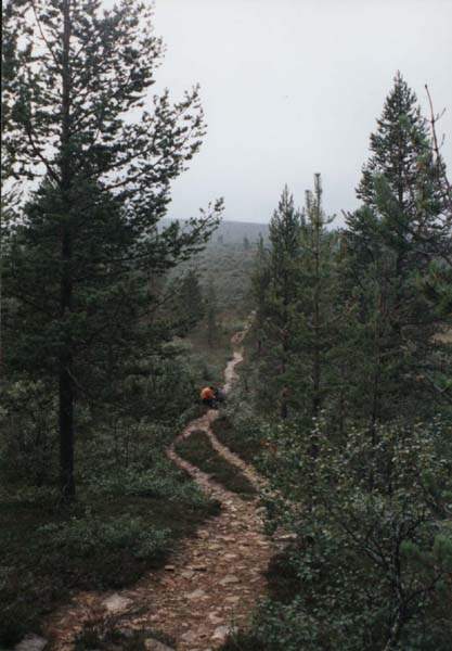 07-06
