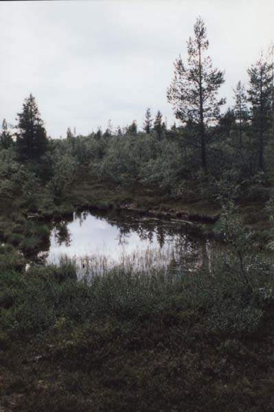 07-26