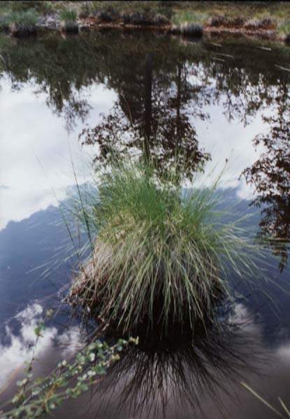 07-27