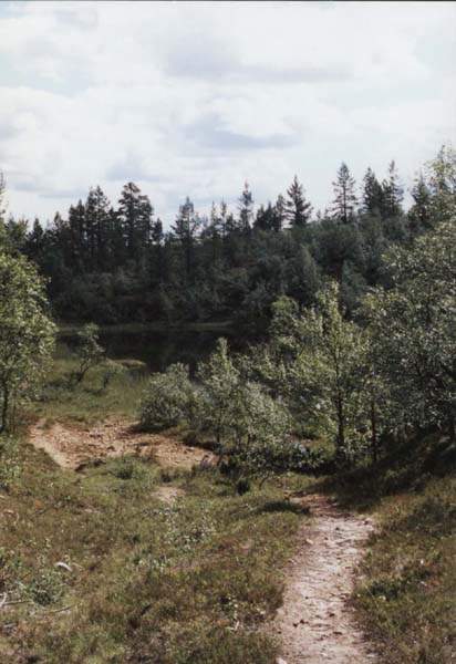 07-29