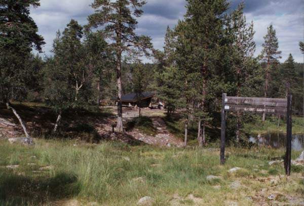 07-33