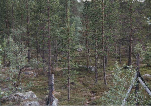 08-05