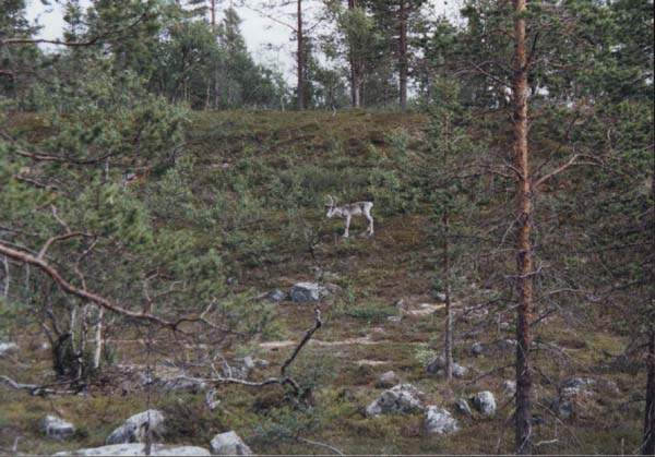 08-07