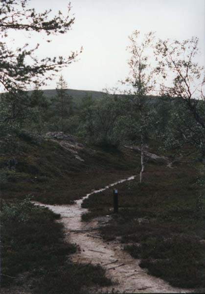 08-08