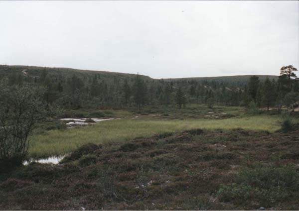 08-09