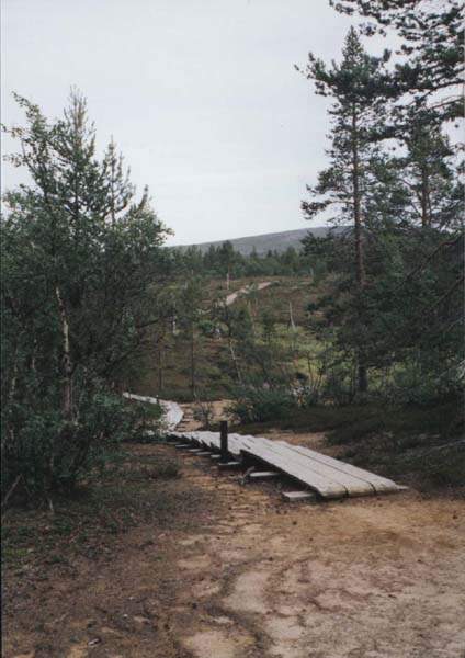 08-11