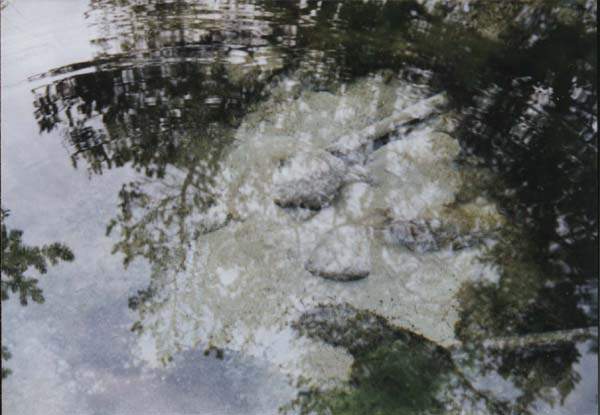 08-17