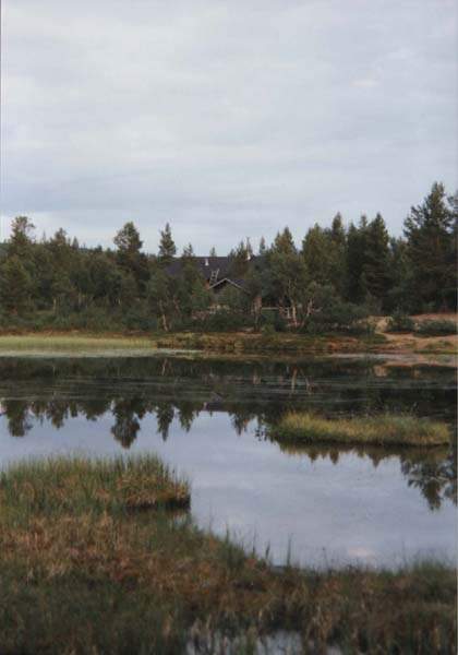 08-20