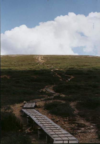 08-34
