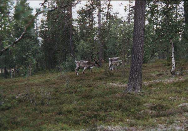 09-09