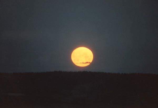 11-01
