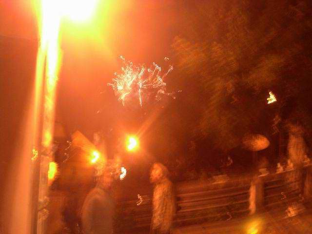 PICT3542