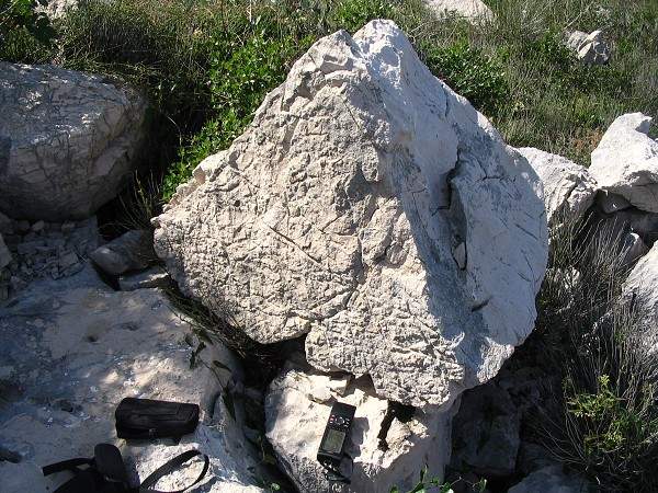 Vlet do Chorvatska podruh - 2006