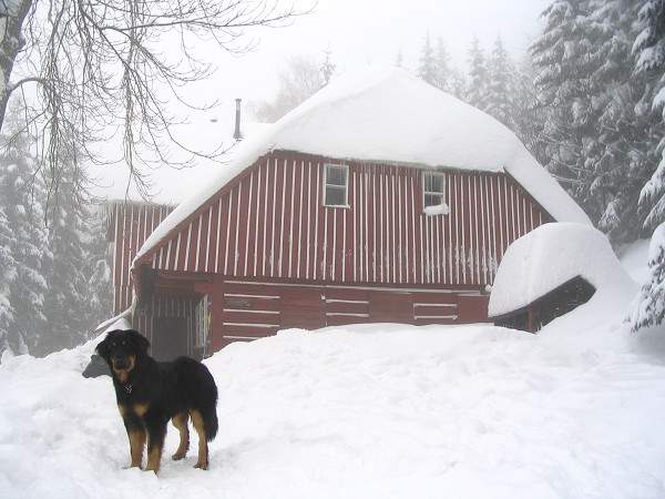 Silvestr Horn Mseky 2005