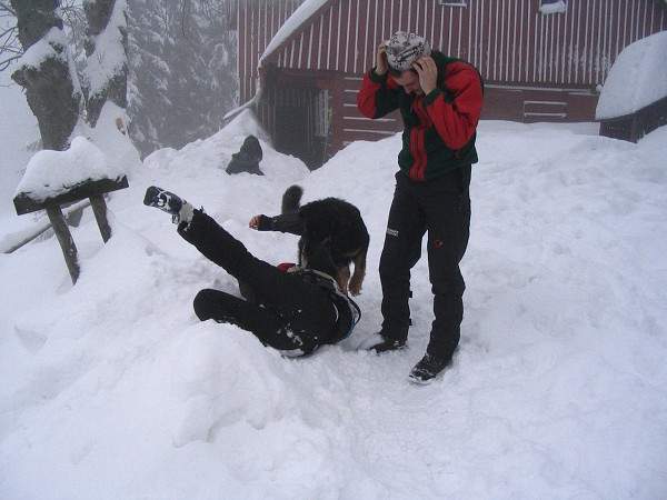 Silvestr Horn Mseky 2005