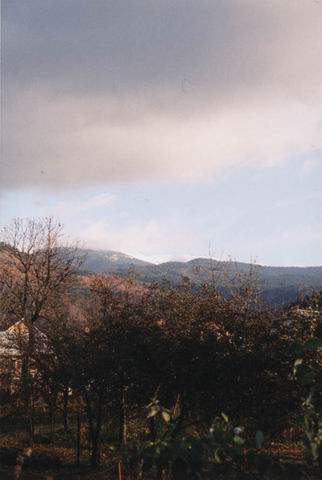 12_od_hospy_nahoru